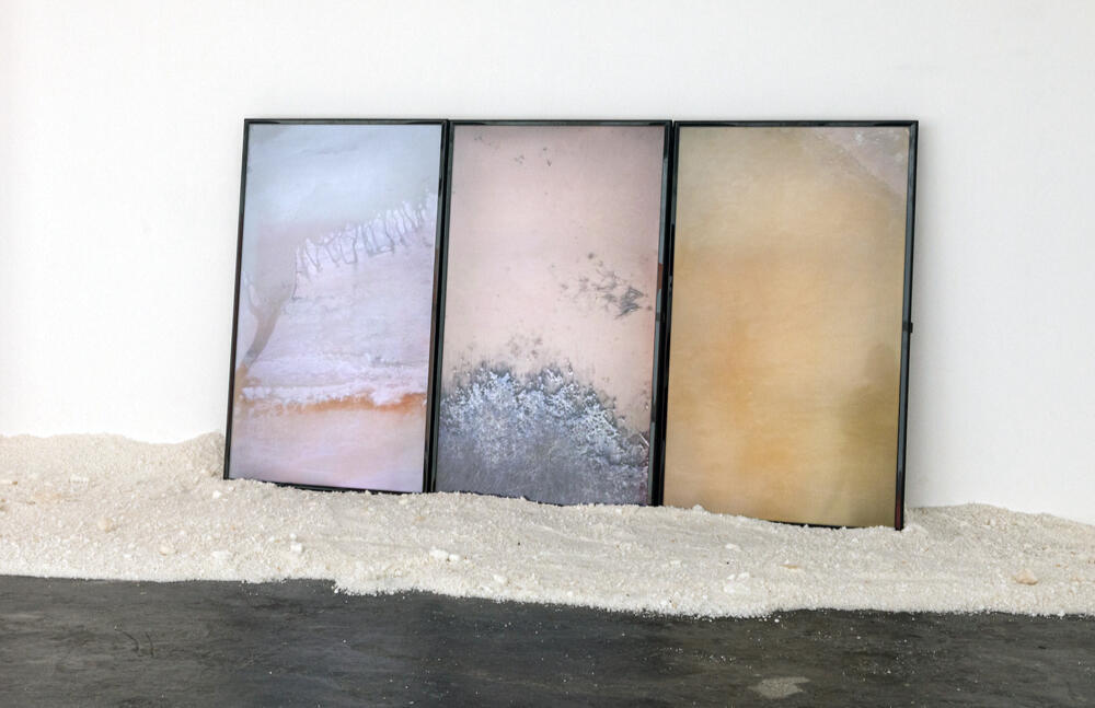 Photo: Gabriel Gómez