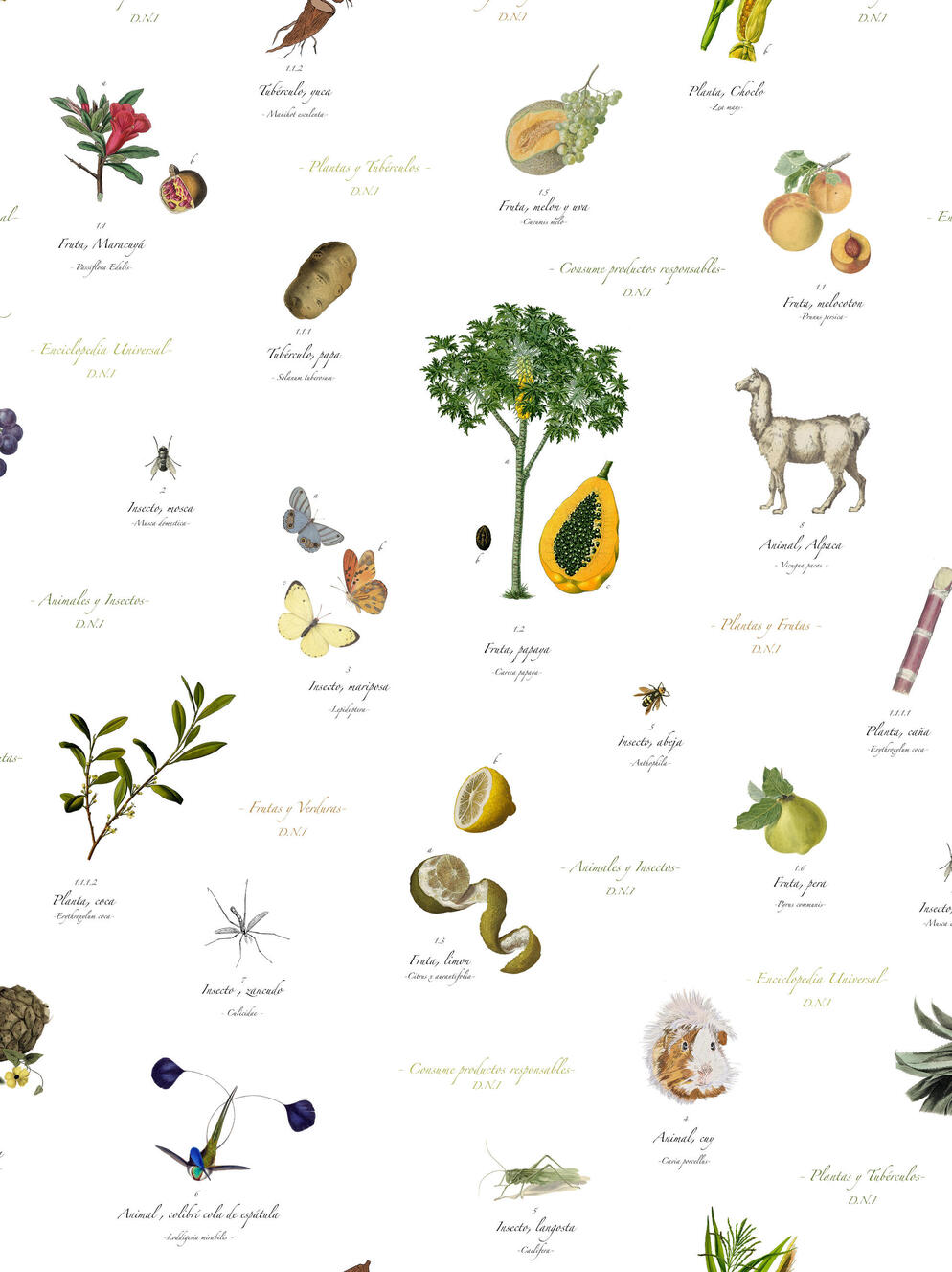 Photo: Gabriel Gómez